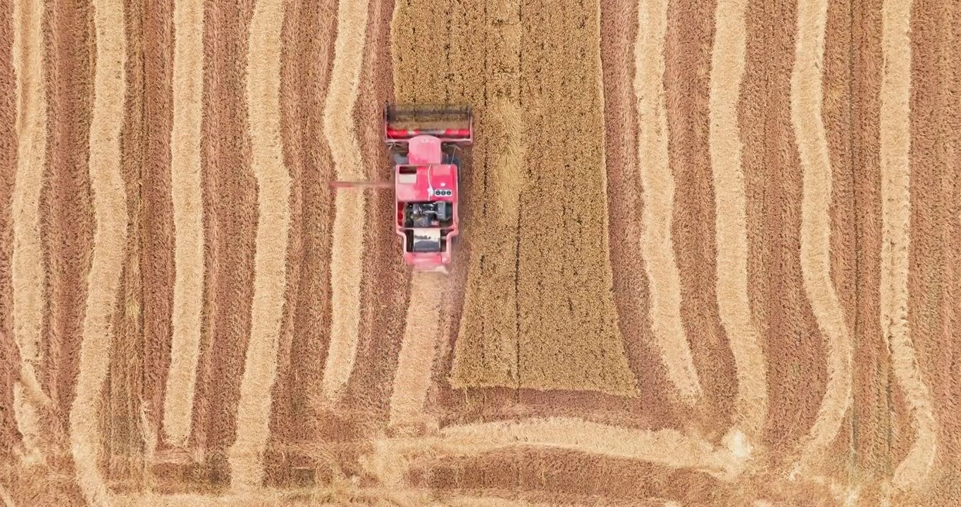 航拍农田里农业机械工作场景视频下载