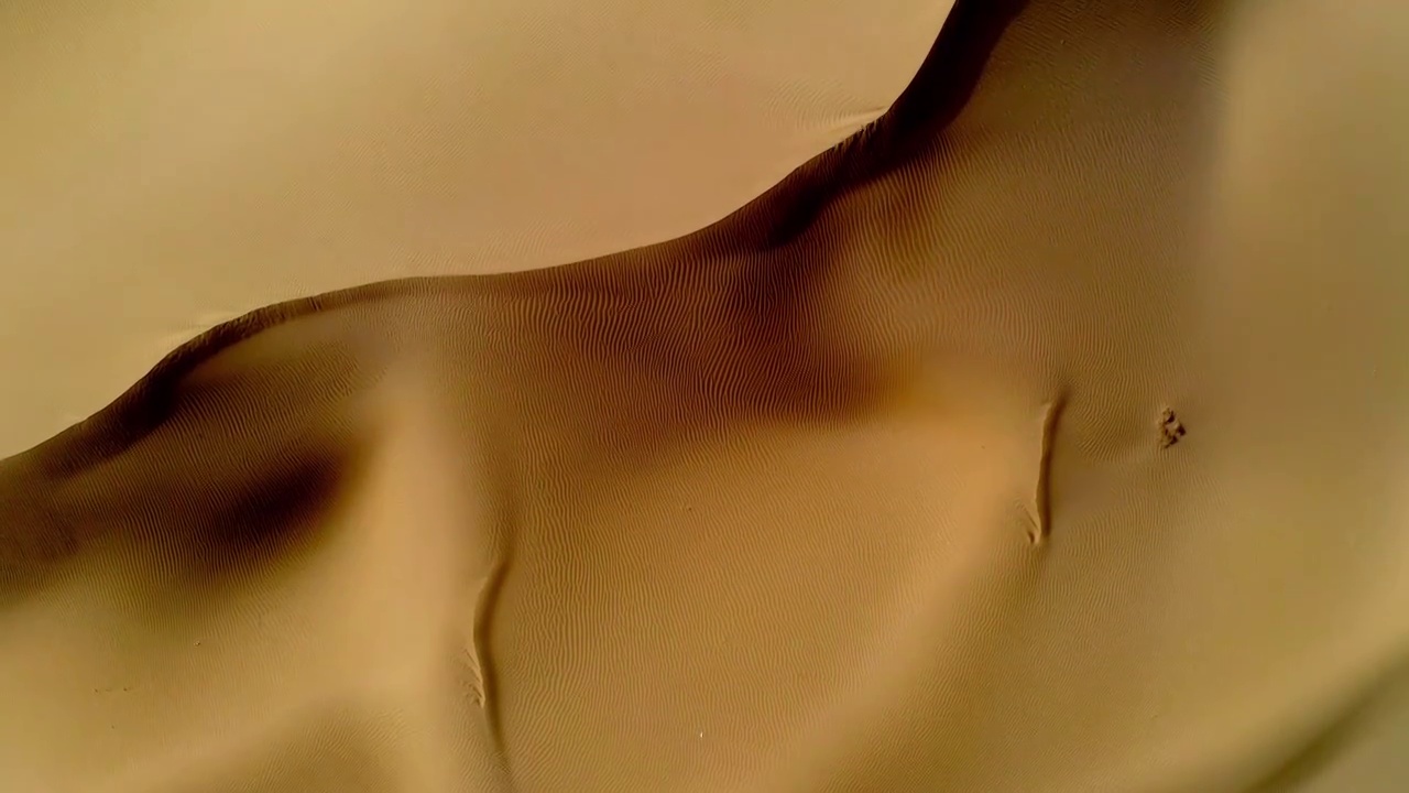 金色的塔克拉玛干沙漠视频素材