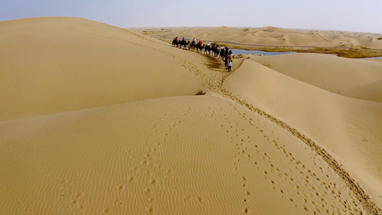 沙漠中的驼队视频素材