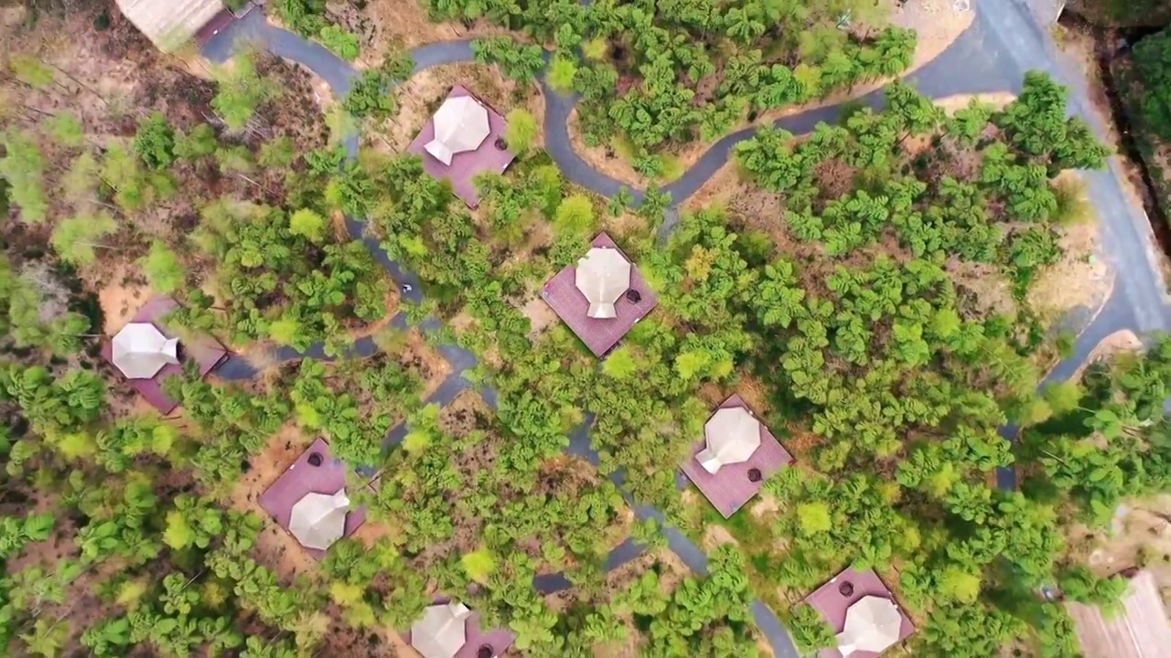 象月湖露营地的竹林视频素材