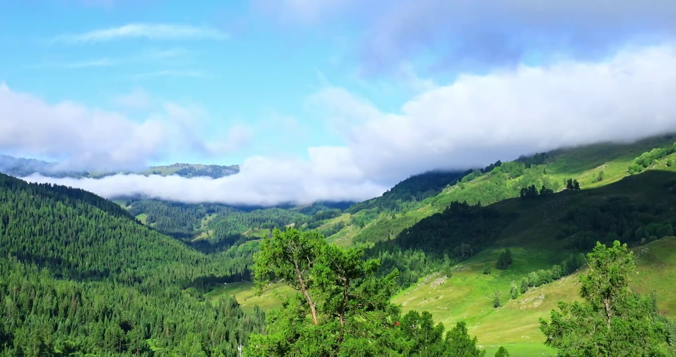 夏季航拍中国新疆奇特的山和自然风光视频下载