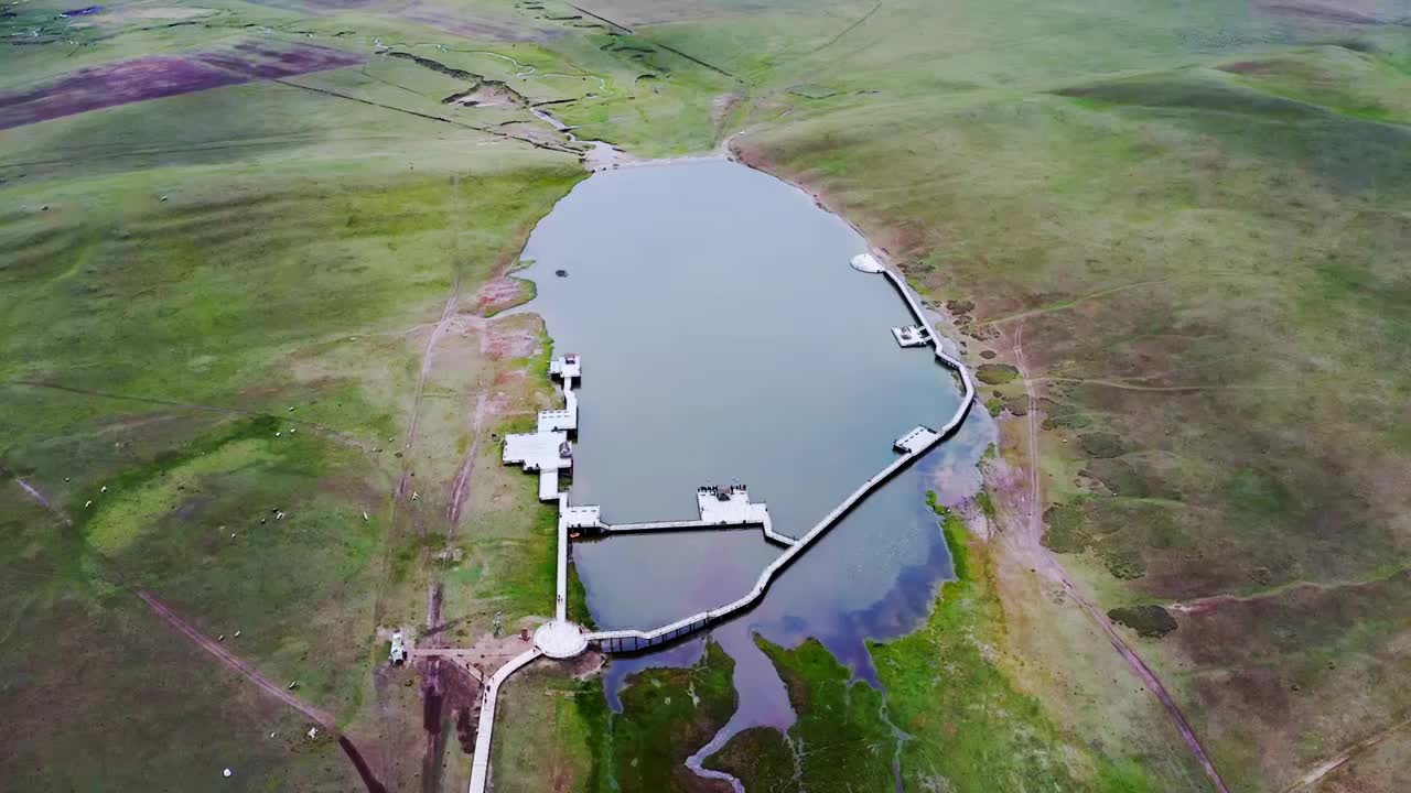 新疆巴音布鲁克天鹅湖视频素材