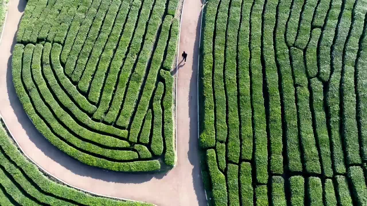 茶园农庄航拍视频素材