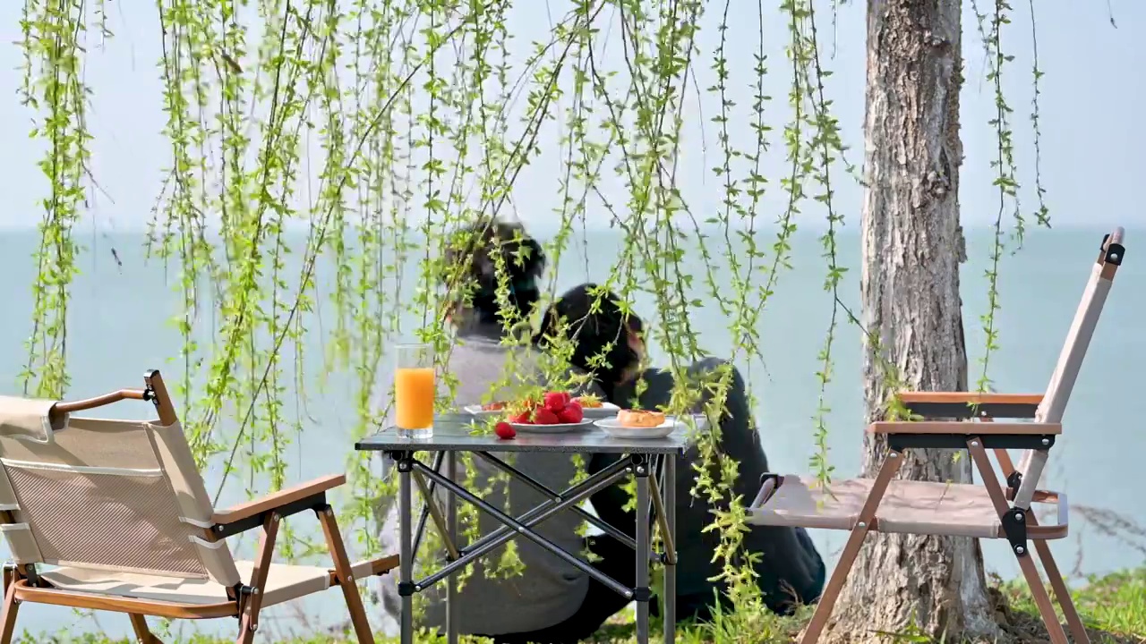 湖边，柳树下野餐的情侣视频下载