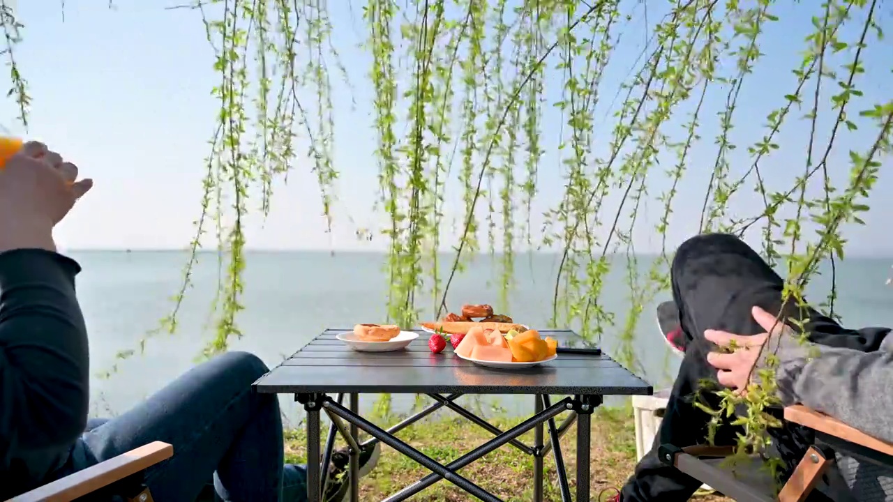 湖边，柳树下野餐的情侣视频下载