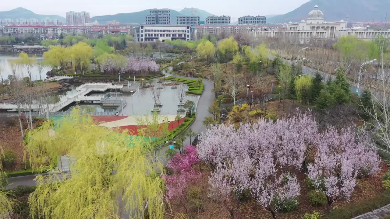 山东枣庄：城市公园春色新视频素材