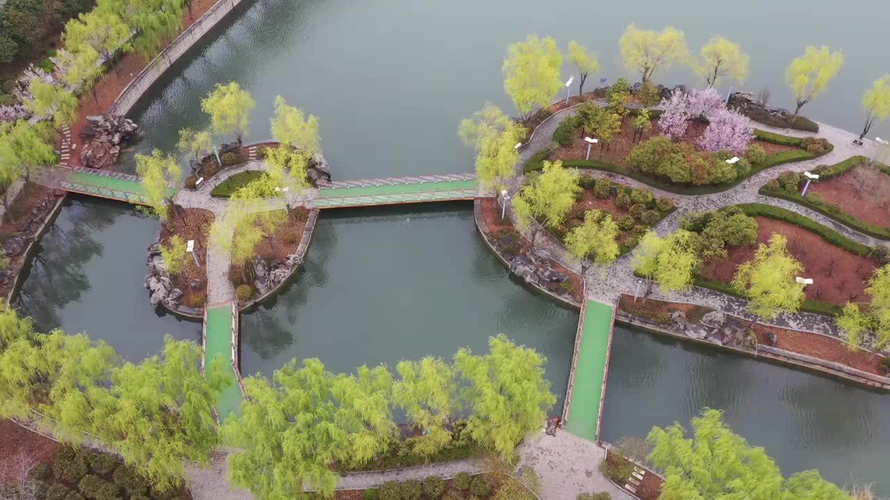 山东枣庄：城市公园春色新视频素材