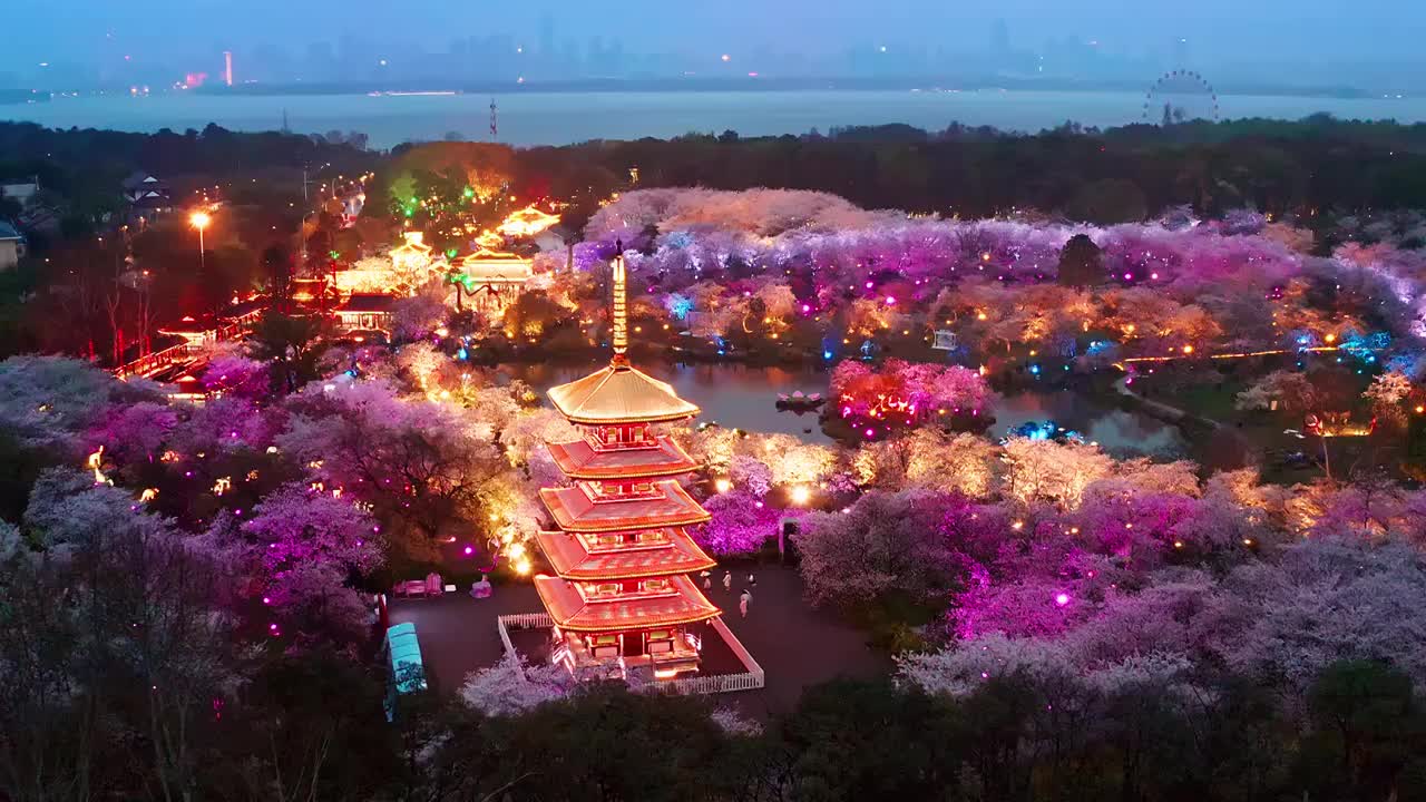 航拍武汉东湖磨山樱花园景区视频下载