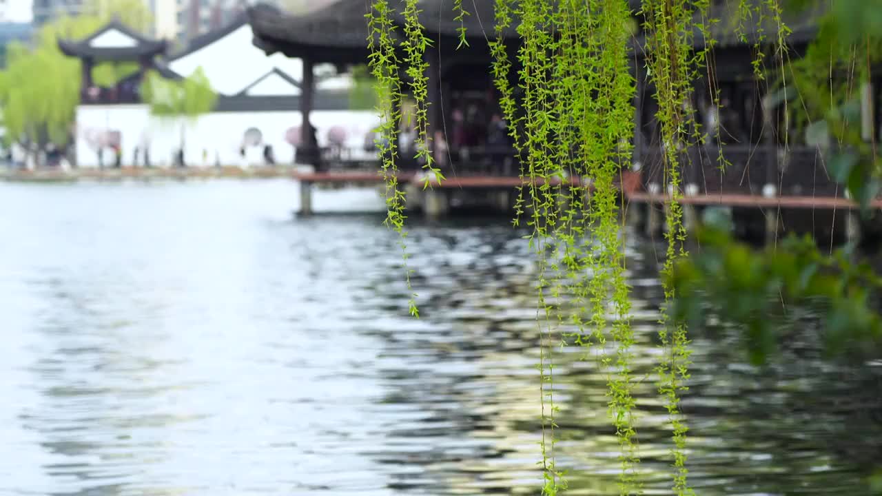 春天南京莫愁湖公园莫愁湖畔的古风建筑和柳枝视频素材