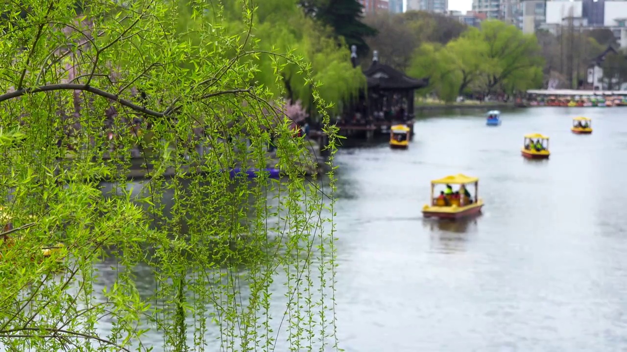 春天春暖花开，游客在南京莫愁湖公园乘船春游视频下载