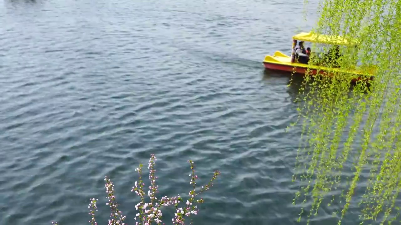 春天春暖花开，游客在南京莫愁湖公园乘船春游视频素材