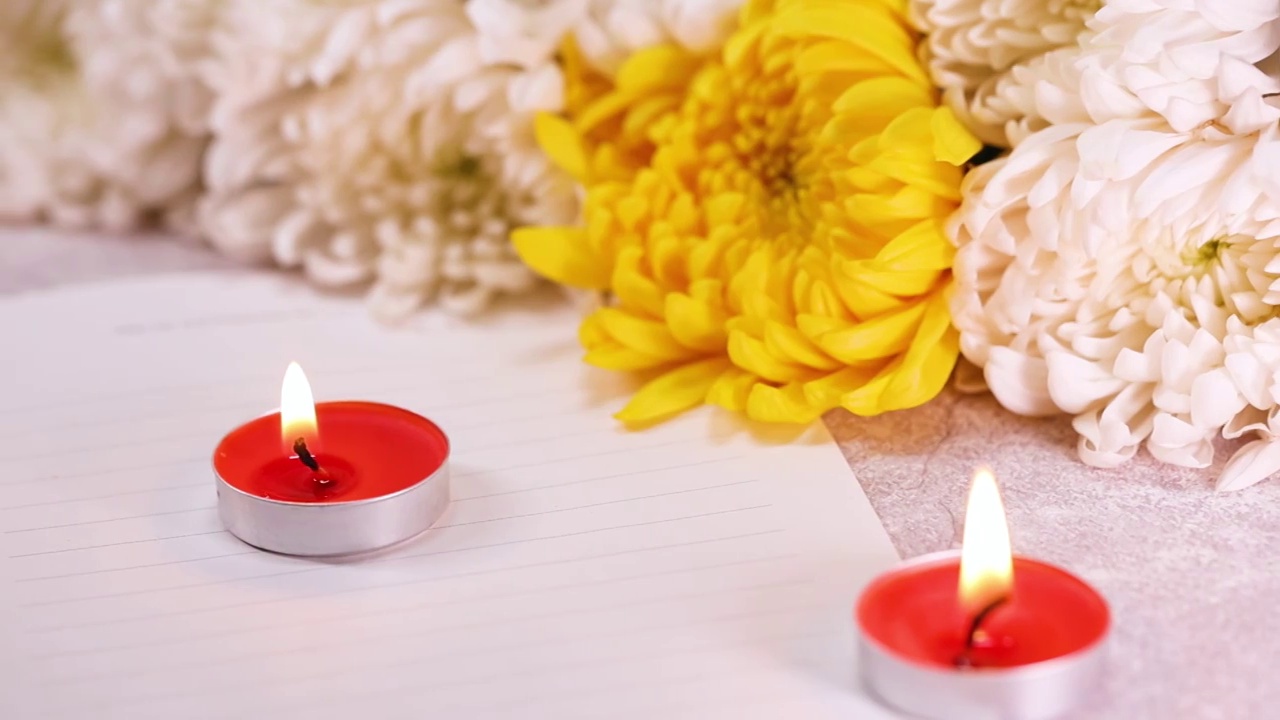 蜡烛和菊花视频下载