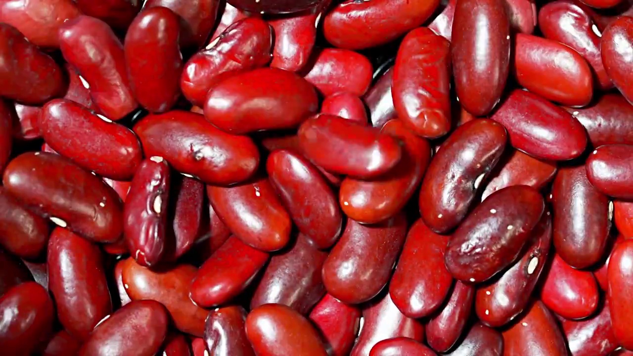 美食粮食红豆红腰豆展示视频素材