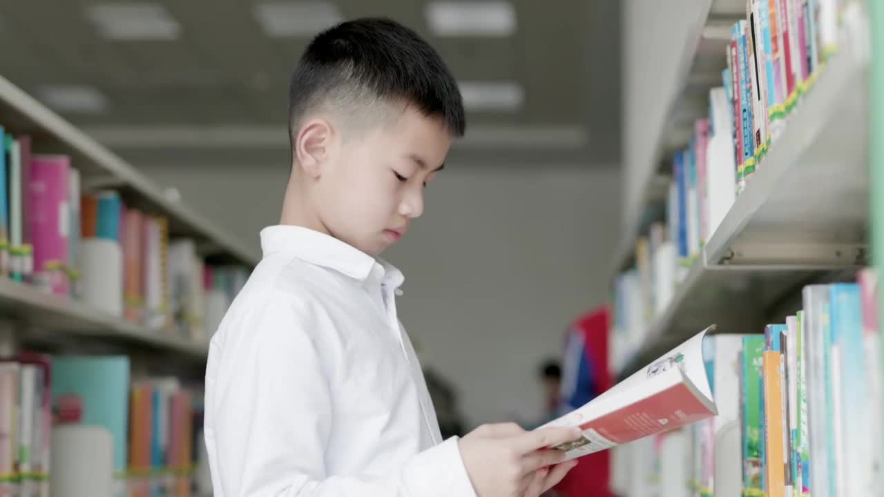 4K一个小学生在图书馆看书视频素材