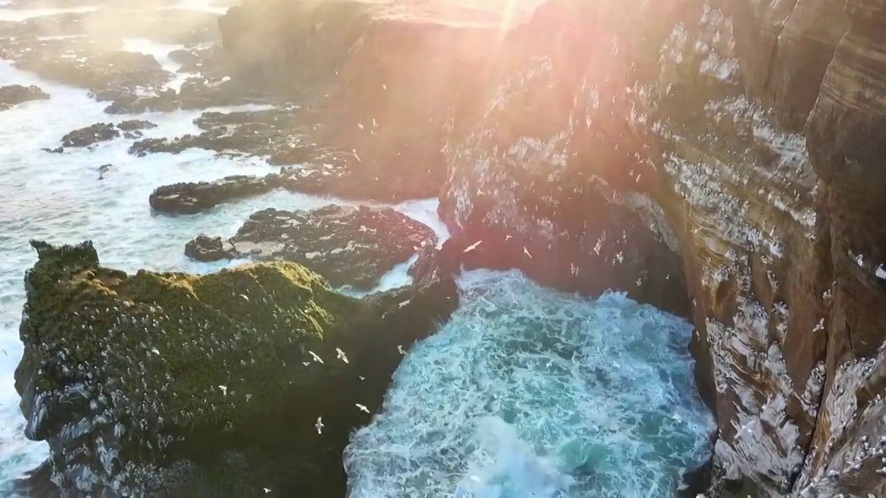 冰岛夕阳下的海蚀柱群海景，成群的海鸥飞翔视频下载