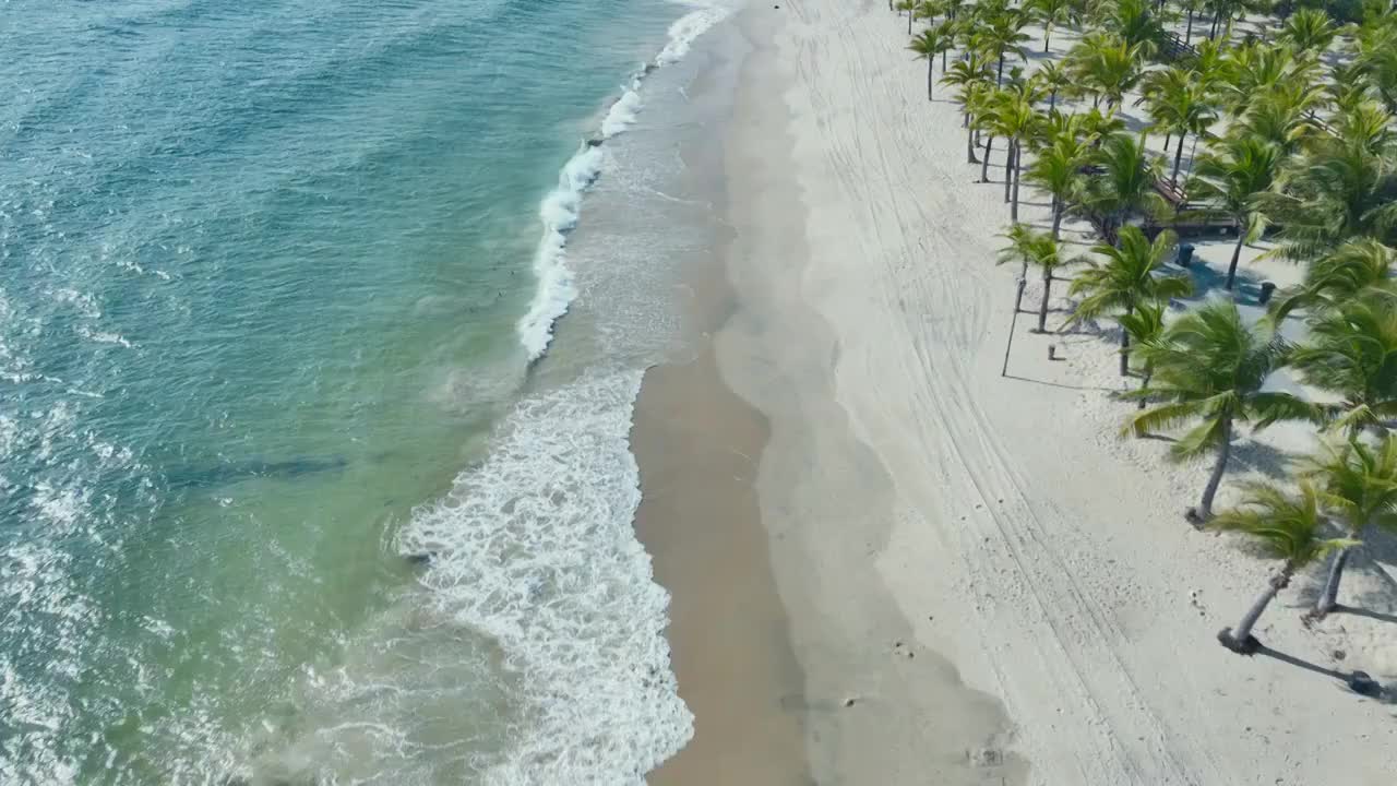 椰林阳光沙滩航拍视频下载