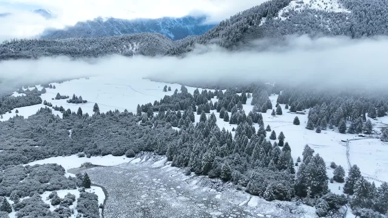 西藏林芝市鲁朗国际小镇林海雪原的森林和云海航拍风光视频素材