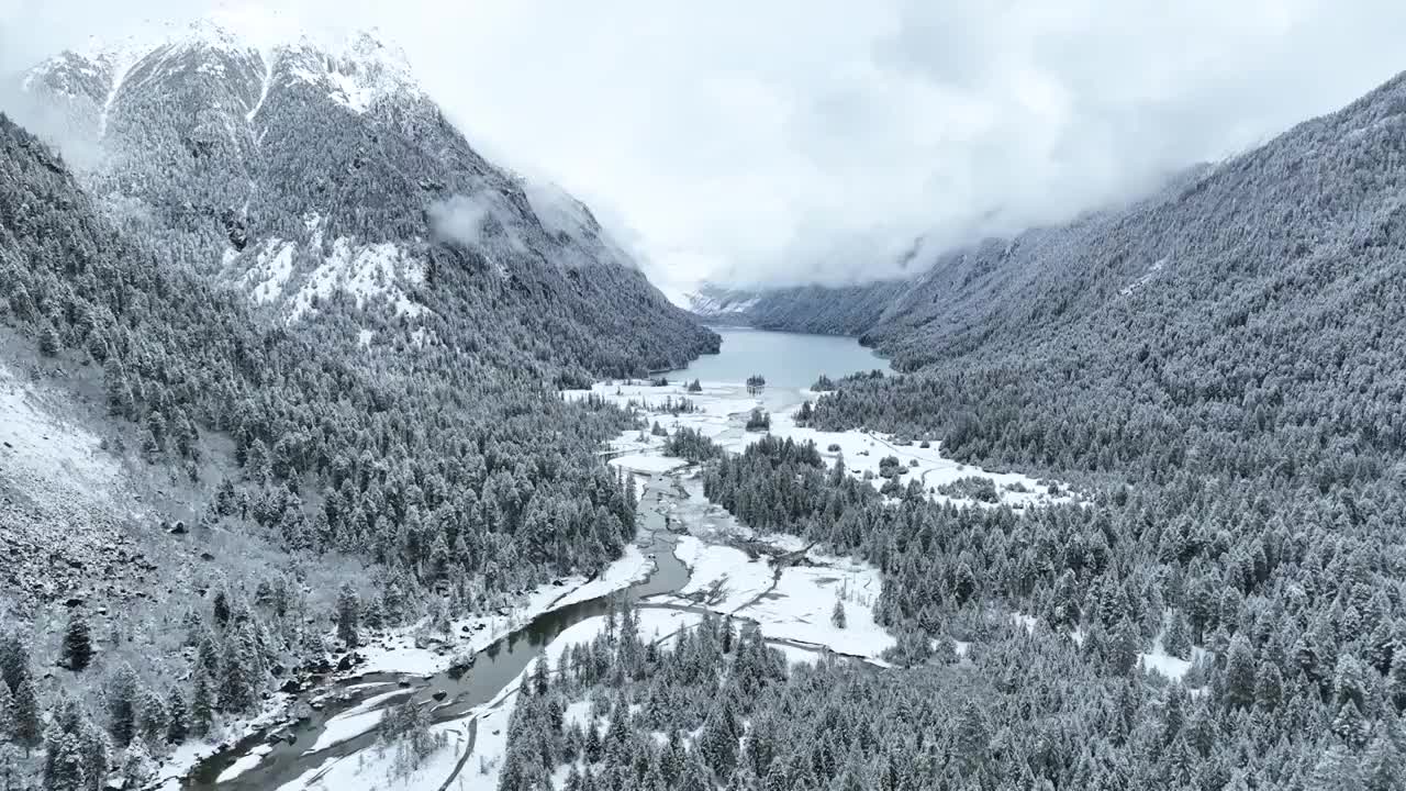 西藏林芝市巴松措景区，新措的雪山，森林，湖泊的风光视频素材