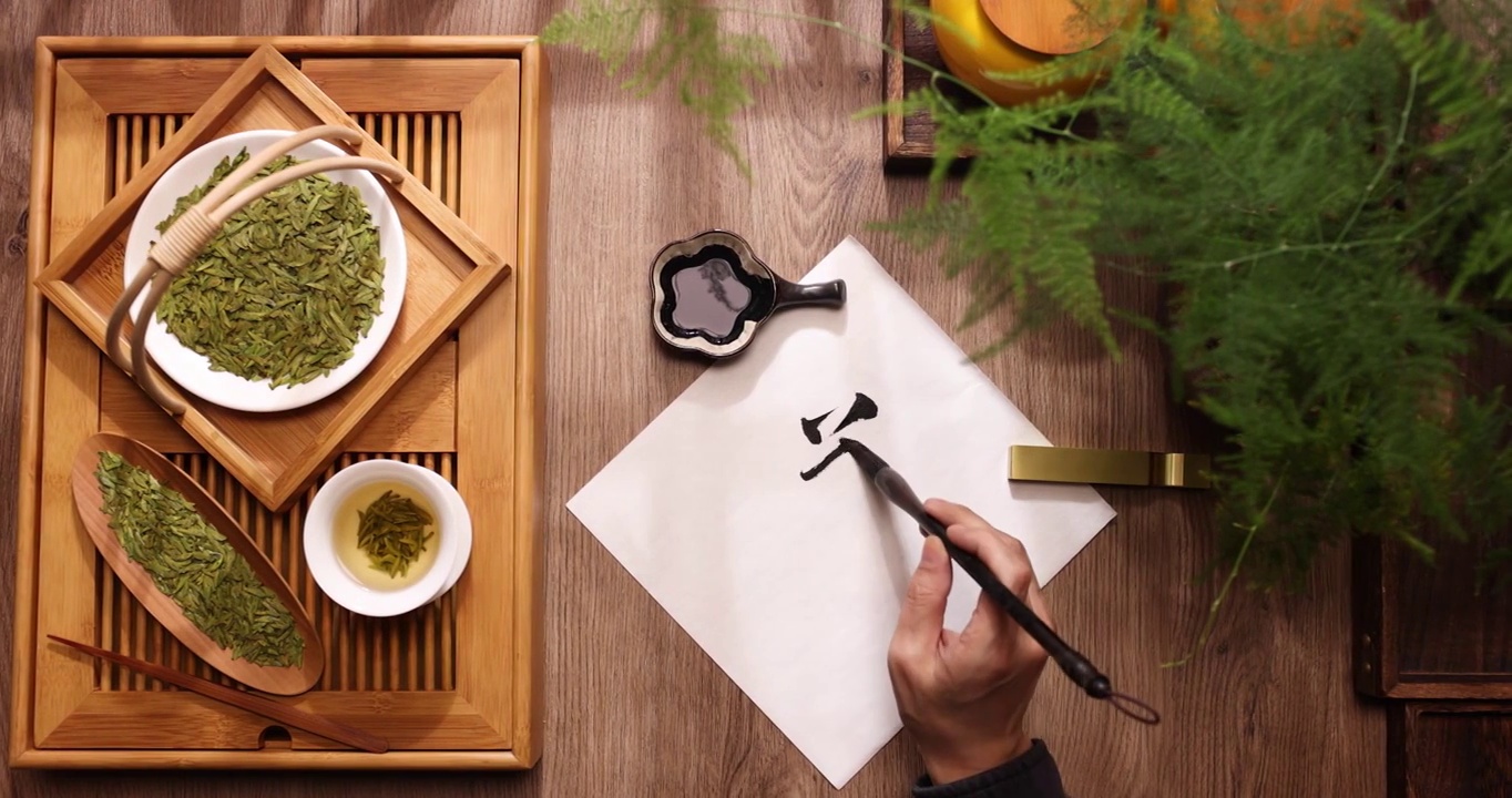 茶字,写毛笔字,茶概念,传统文化视频下载