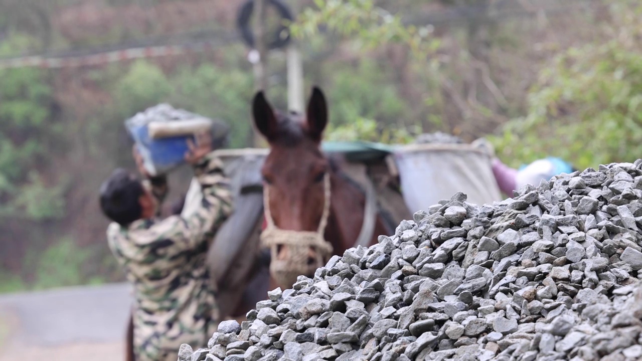 毛驴运输物资马帮运输队装卸石子建材慢动作视频素材