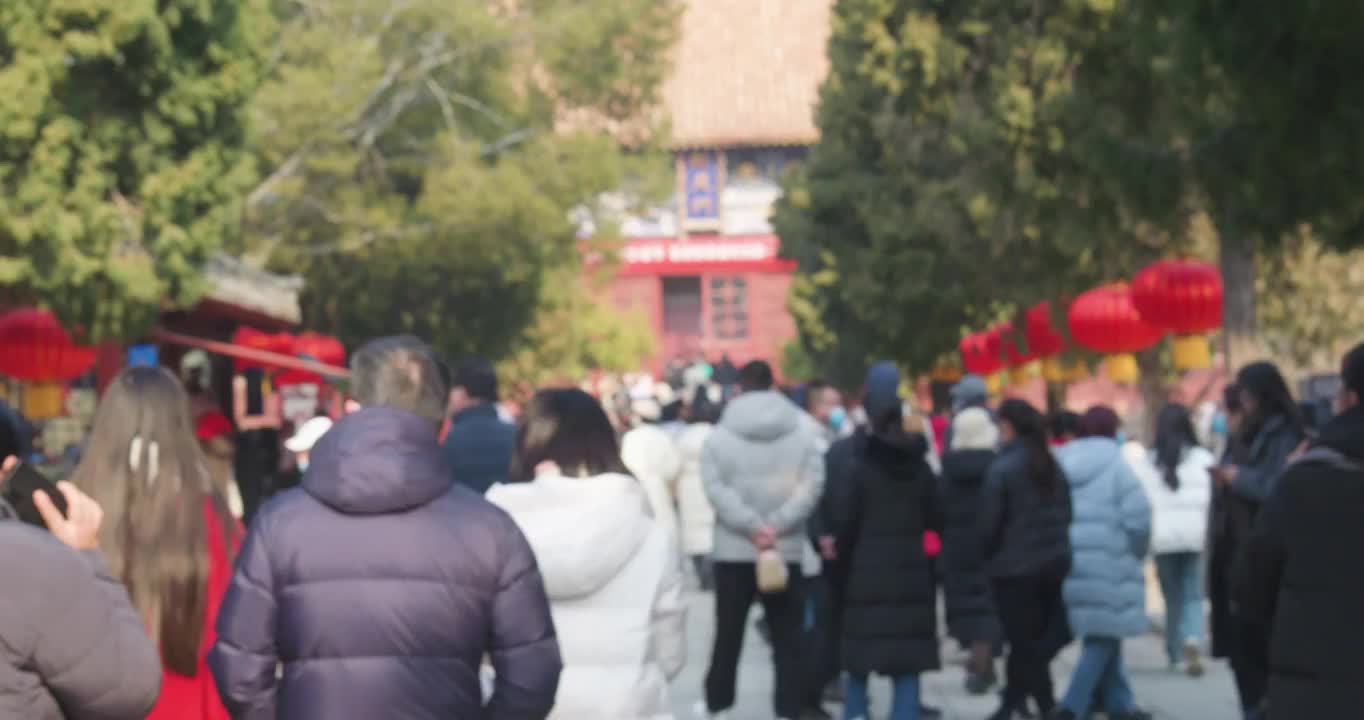 岱庙春节逛庙会迎新年视频下载