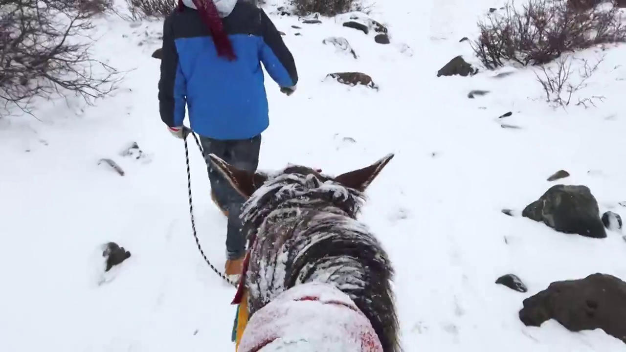 在雪地里骑马的第一人称视角视频下载