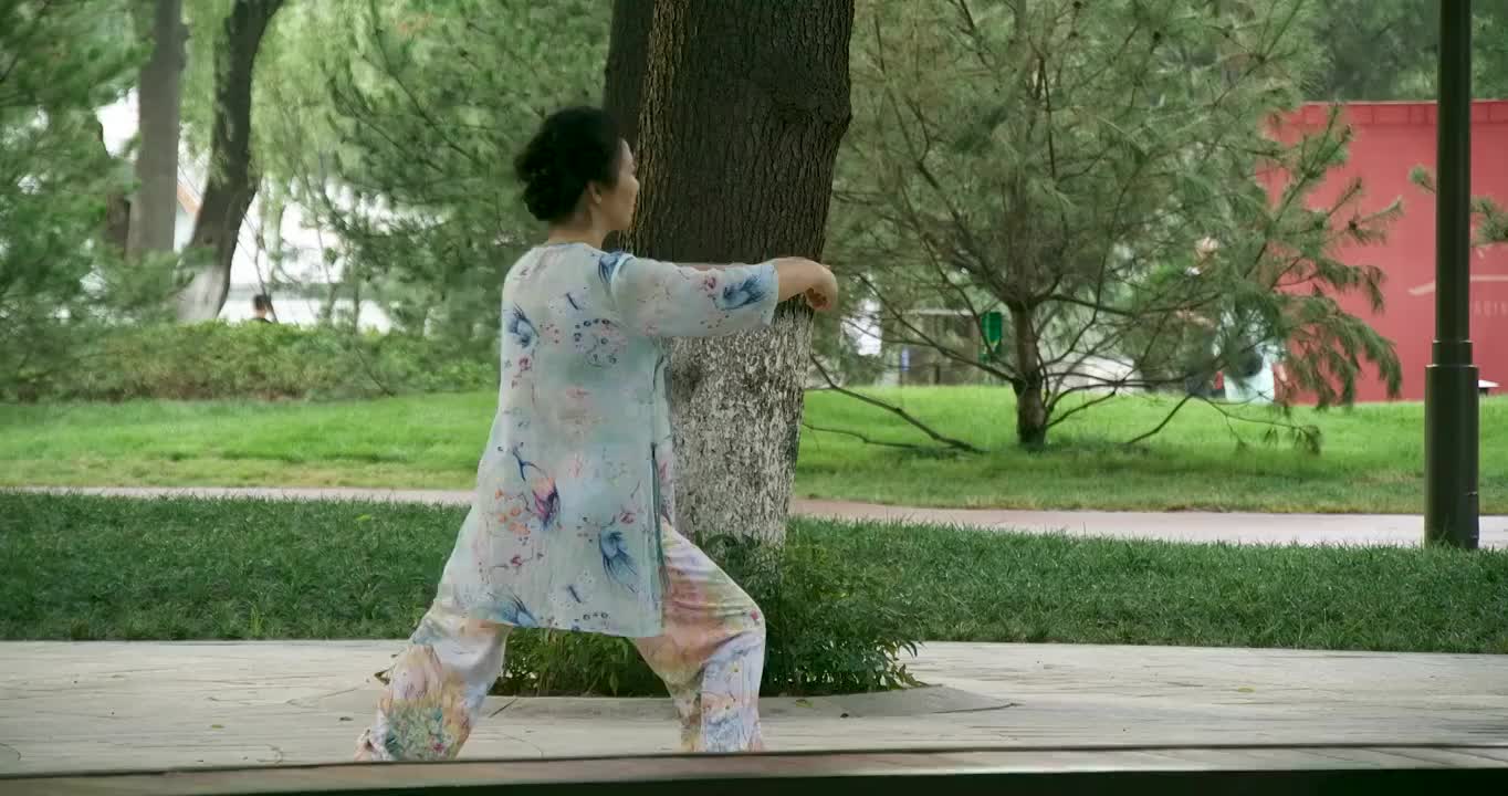 公园老人锻炼打太极舞剑4K（选编）视频下载