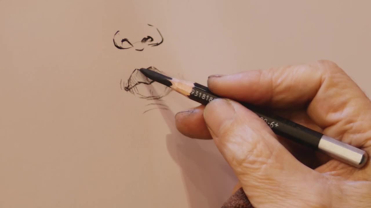 手绘画师正在用炭笔铅笔绘制临摹速写人脸五官插画写生练习素描纸线描人物画像人像结构比例美术专业绘画课程视频下载