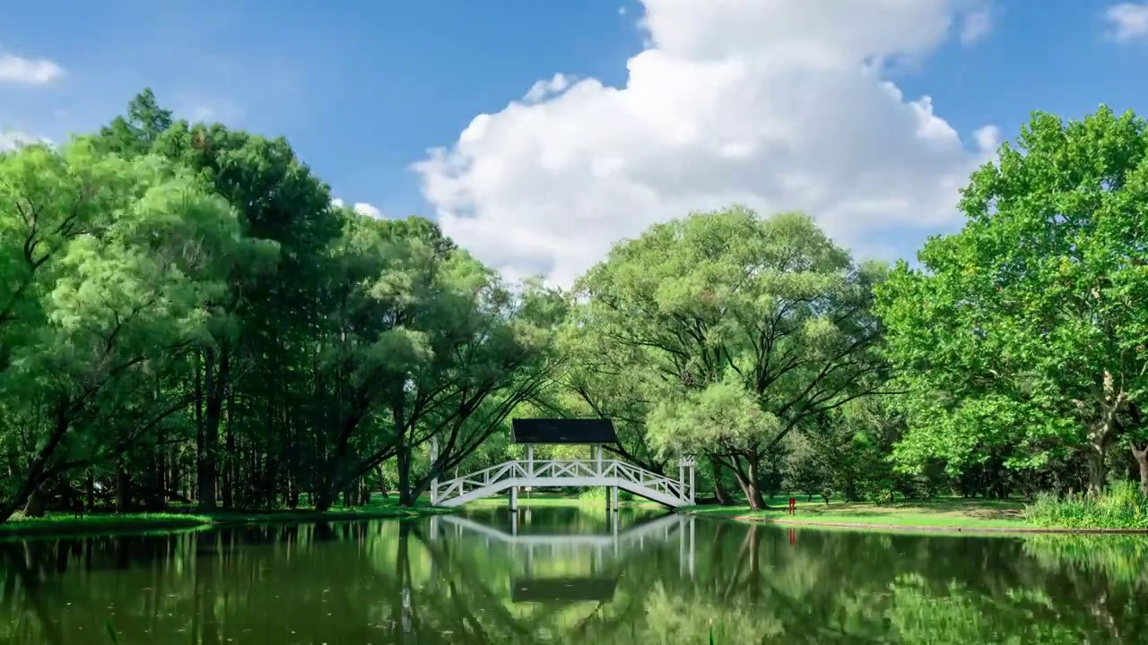 流动的光影照射在湖面的木桥上视频下载