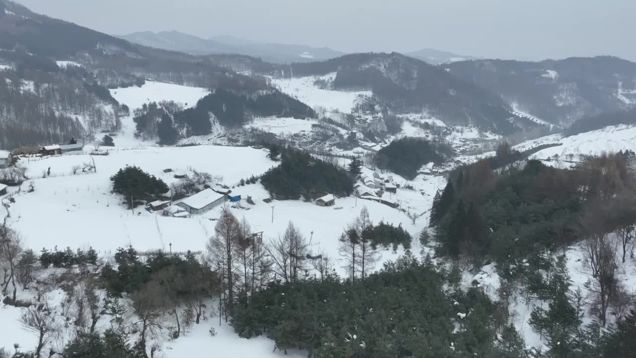 吉林白山临江市松岭雪村雪景风光航拍视频下载