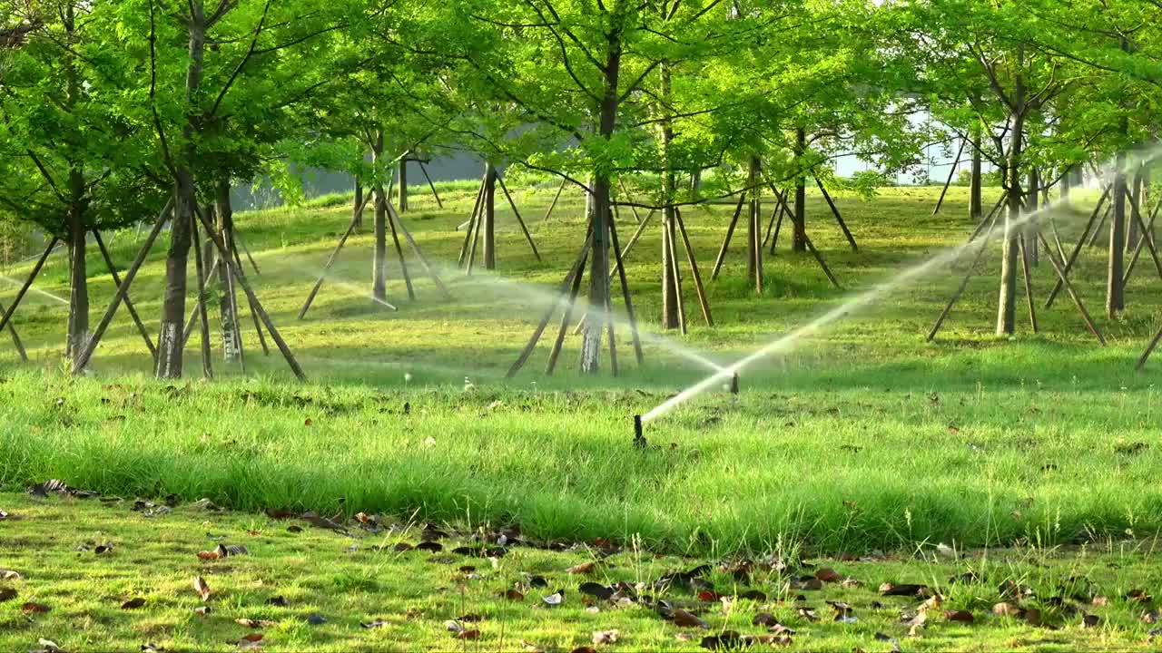 清晨自动喷灌系统正在给草地浇水视频素材
