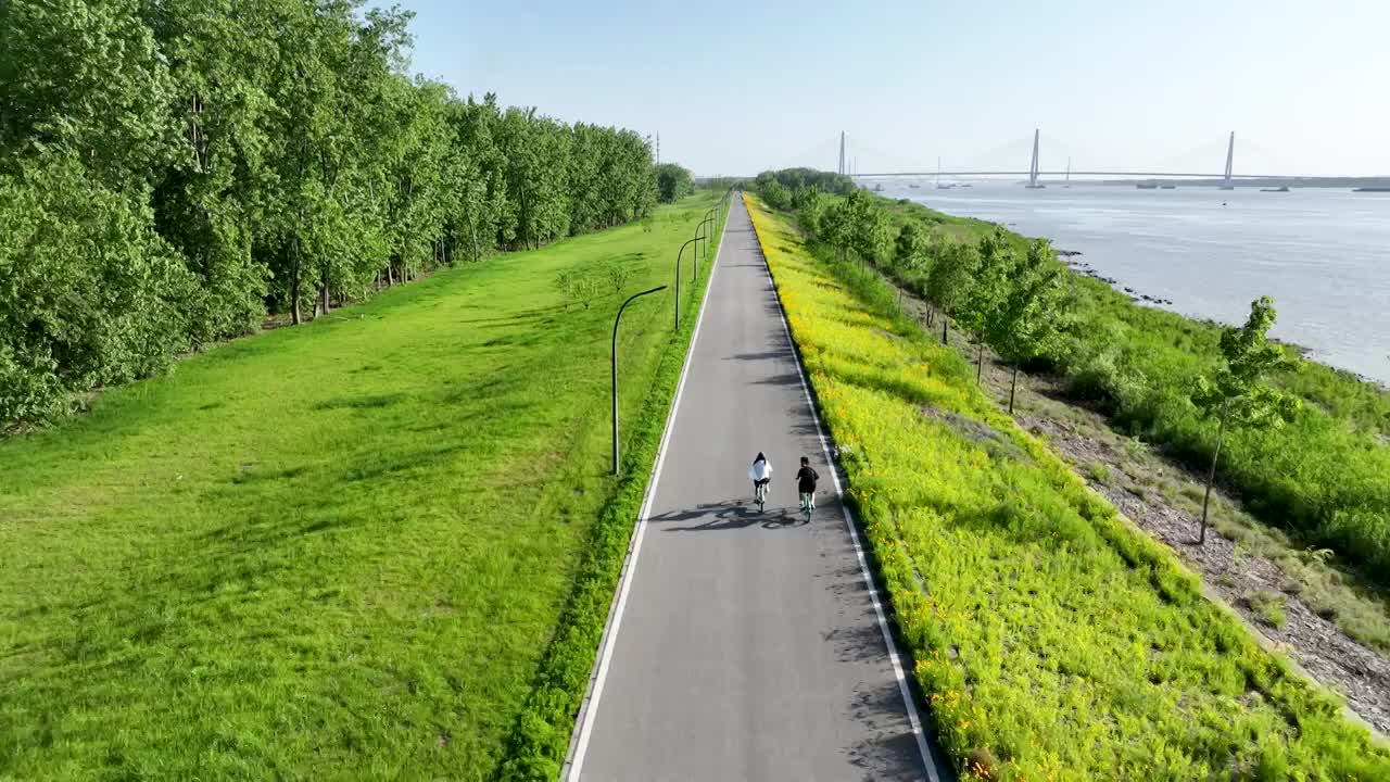 在长江边的环岛路上骑自行车踏青郊游视频下载