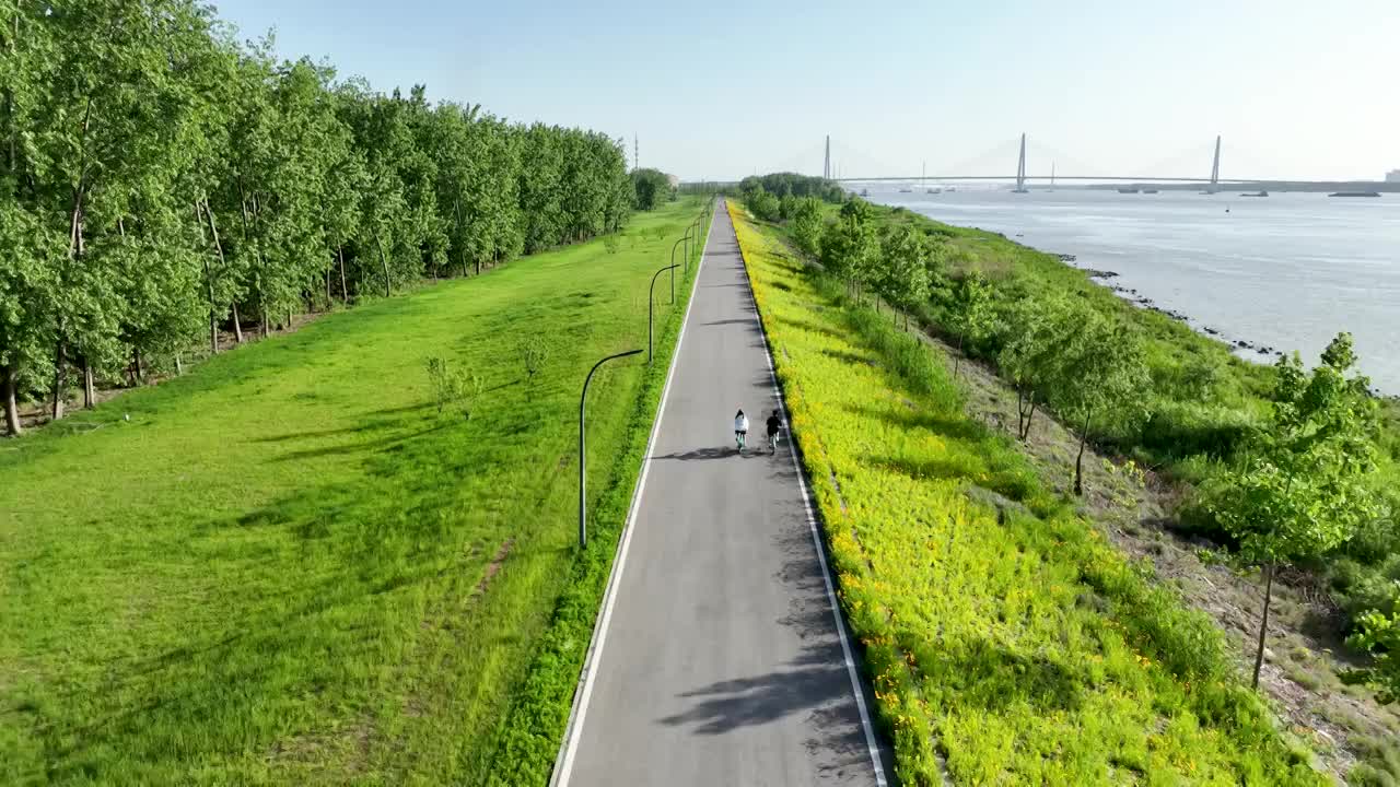在长江边的环岛路上骑自行车踏青郊游视频下载