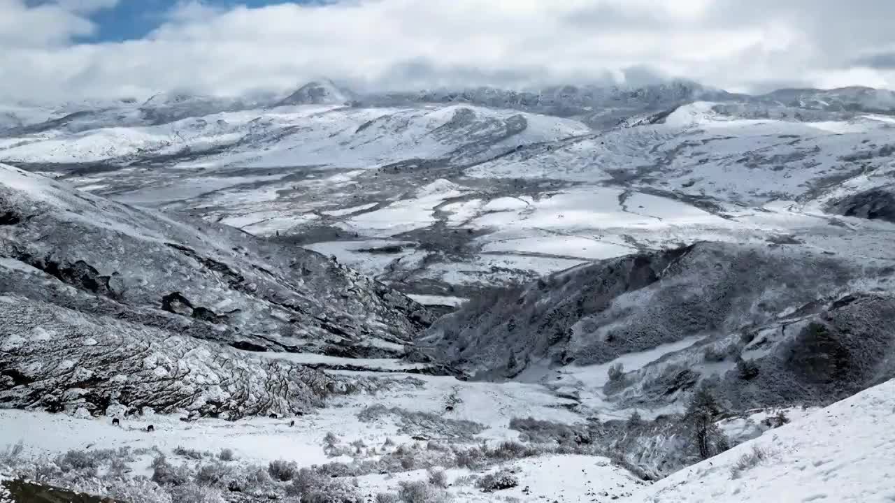 雪山云海视频下载