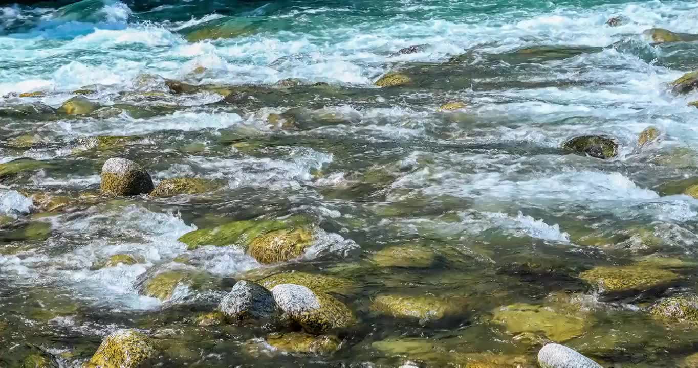 夏季流动的溪水视频下载