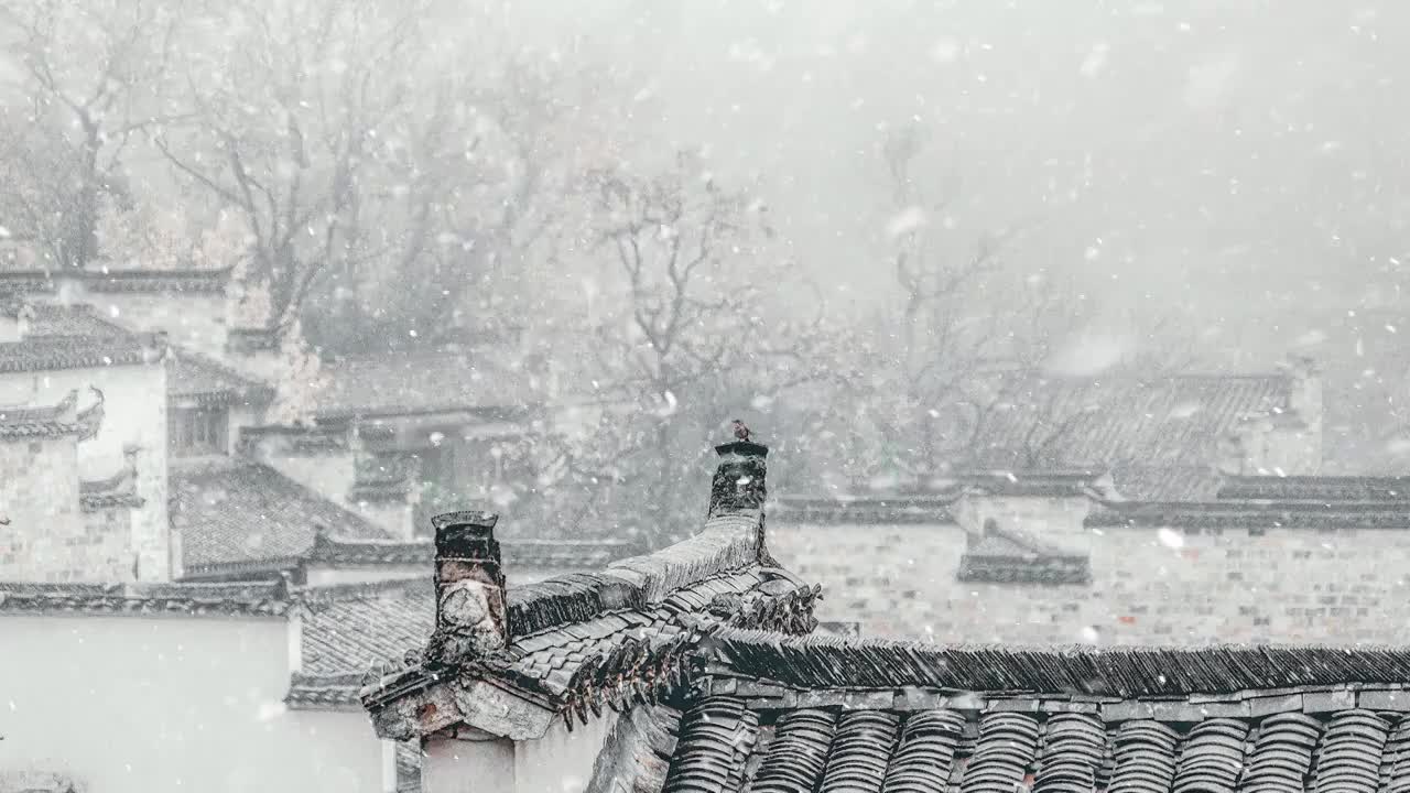 【4k】雪景视频下载