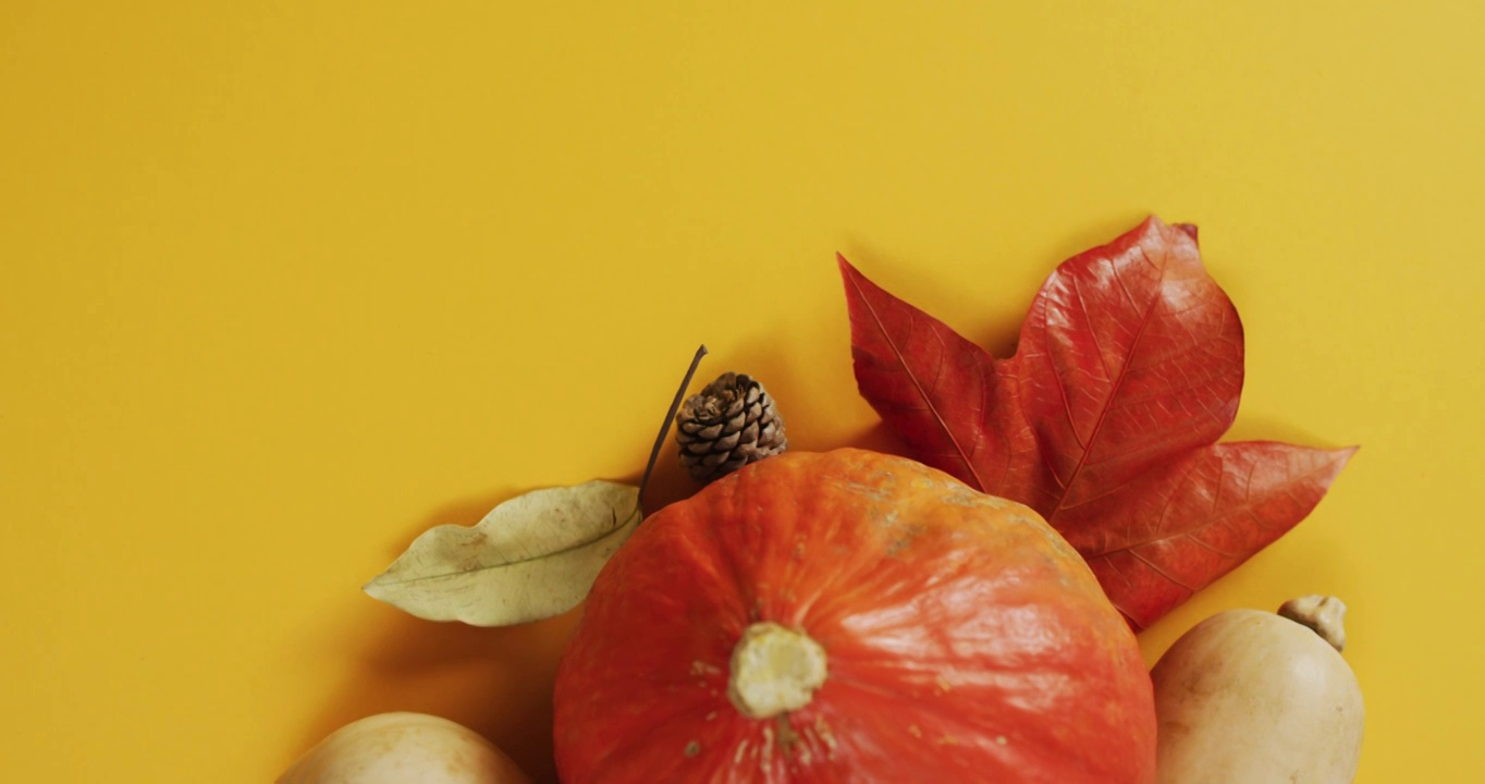 视频南瓜与松果和秋天的树叶在橙色的背景视频素材