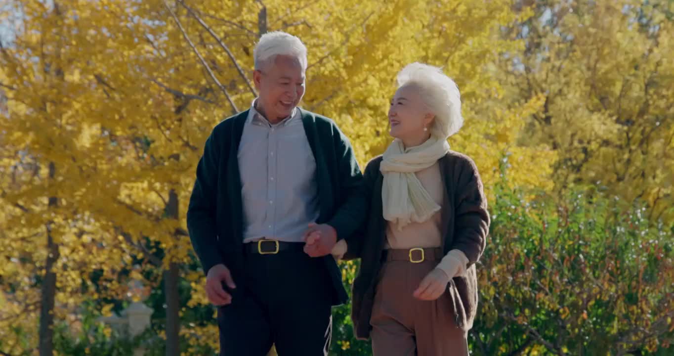 幸福的老年夫妇在公园散步视频下载