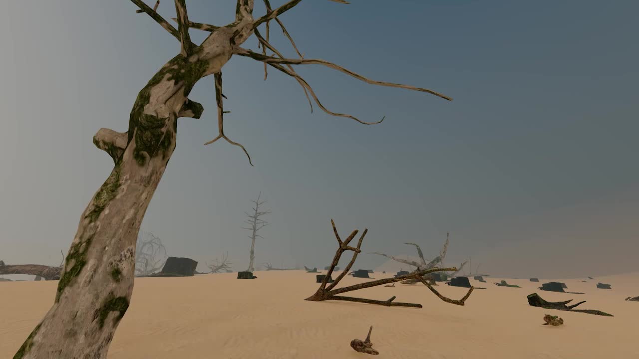 沙尘暴过后的干旱贫瘠沙漠视频素材