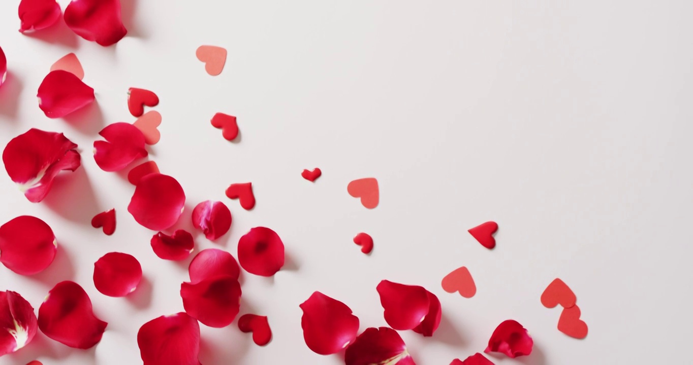 视频的红玫瑰花瓣和红心纸屑在白色的背景与复制空间视频下载