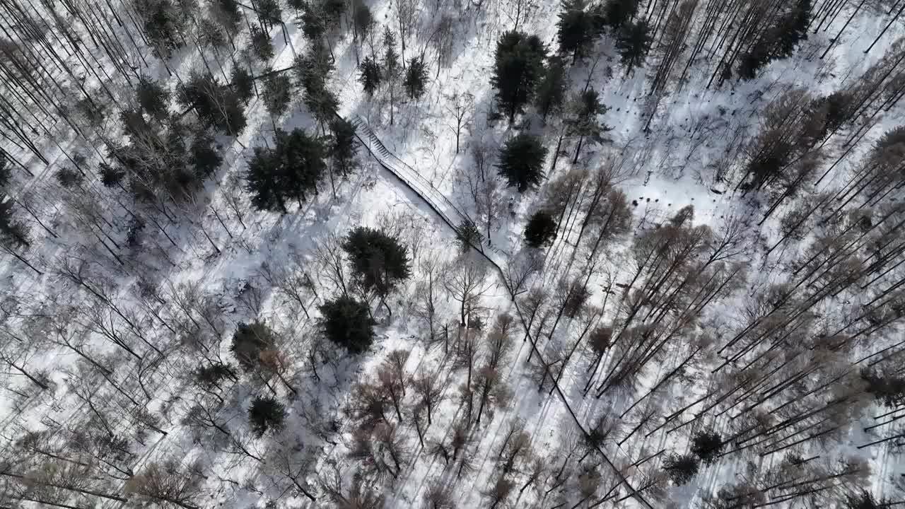 白山市抚松县松江河国家森林公园航拍风光视频素材