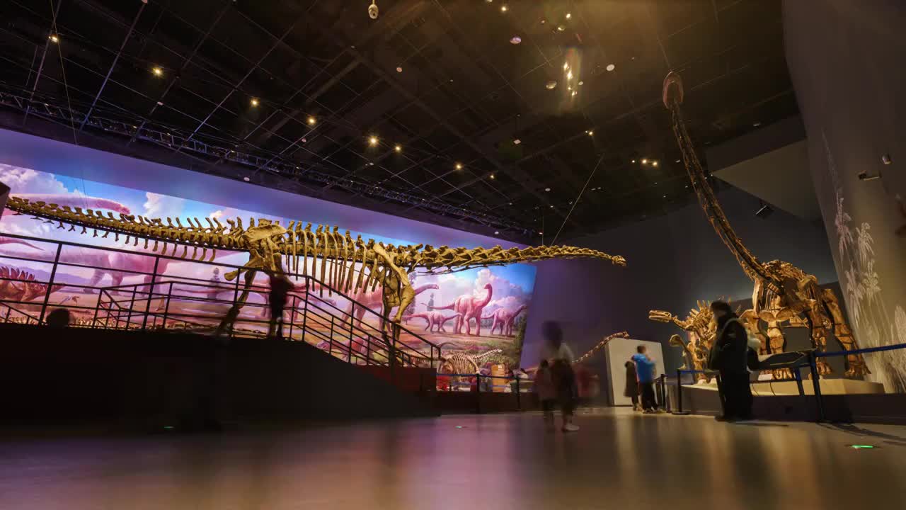 成都自然博物馆/成都理工大学博物馆，恐龙骨骼化石延时摄影视频下载