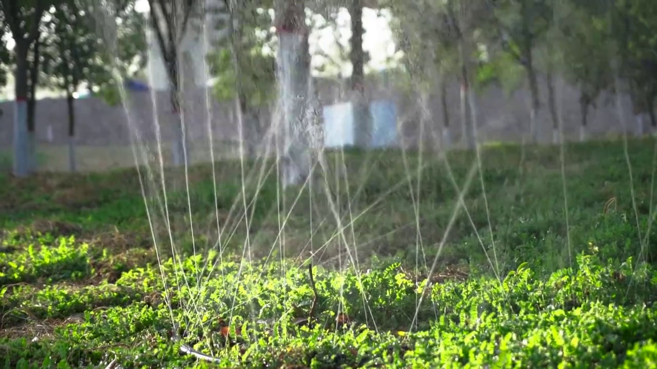 灌溉浇水绿化环保慢镜头视频下载