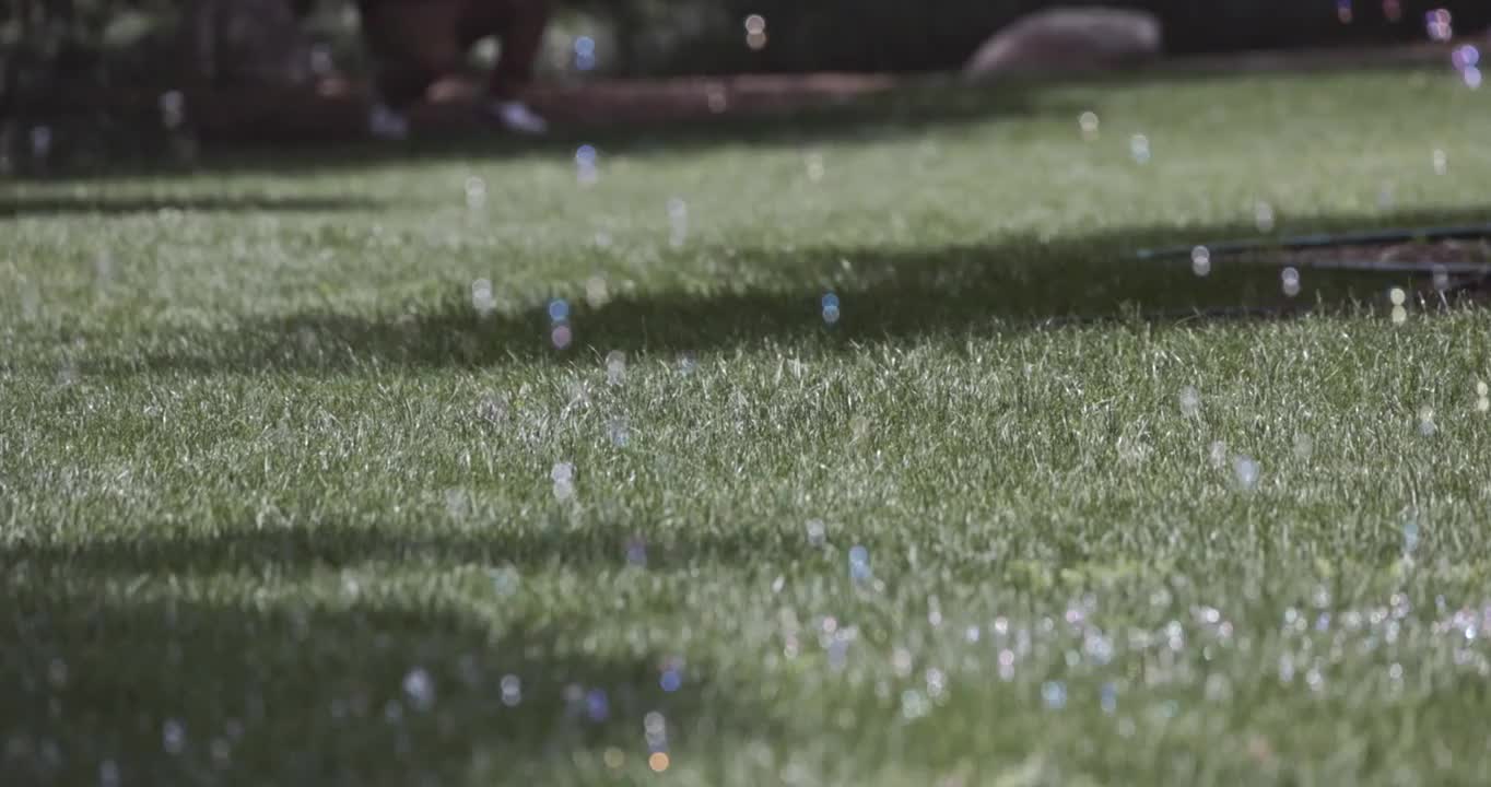 草地上的彩色泡泡视频下载