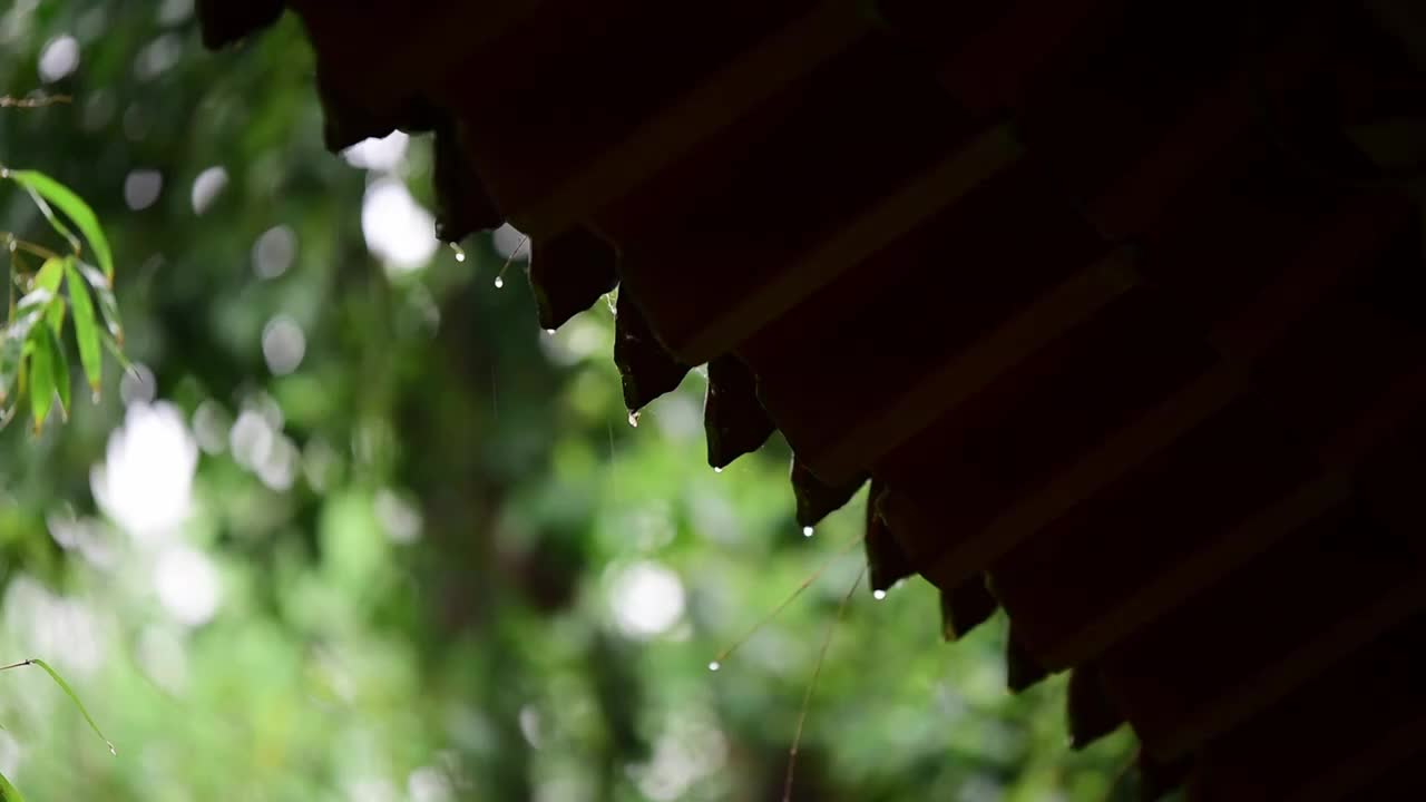 雨中滴水的屋檐视频下载