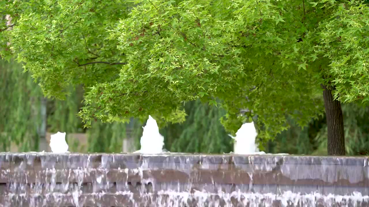 喷泉 住宅 小区 环境 流水 枫树 公园视频下载