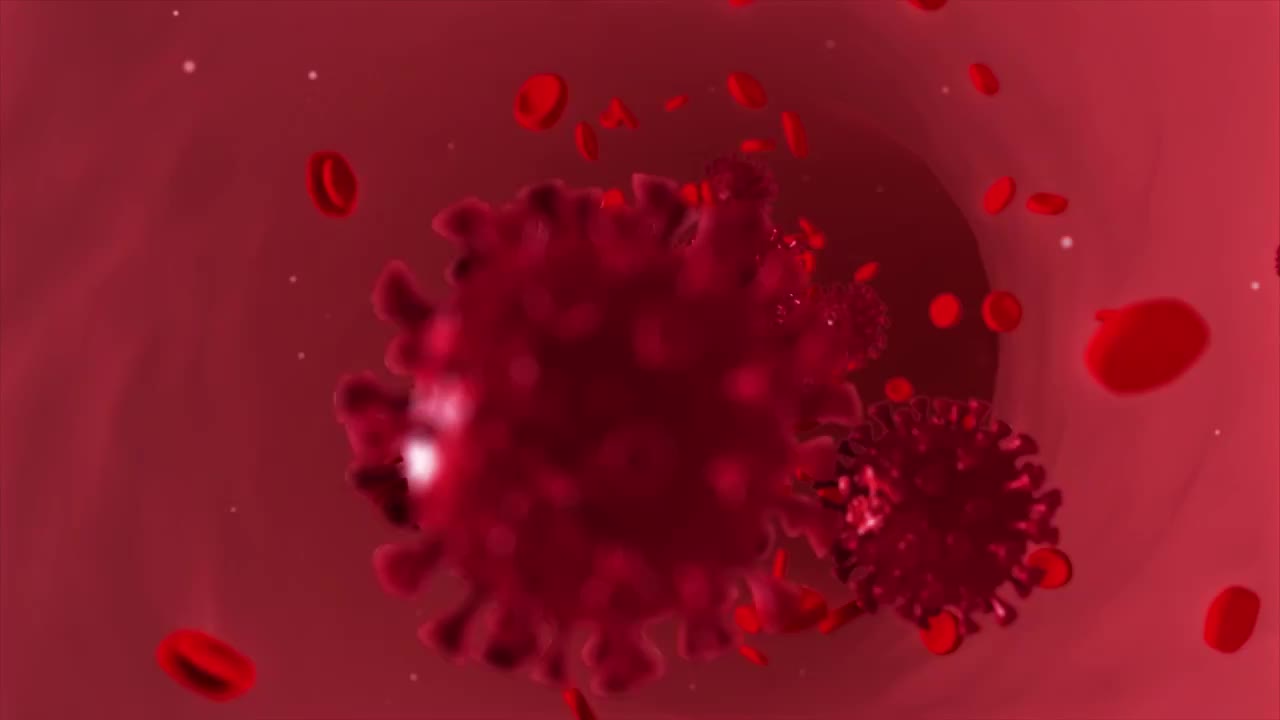 新冠病毒血小板血管流动视频下载