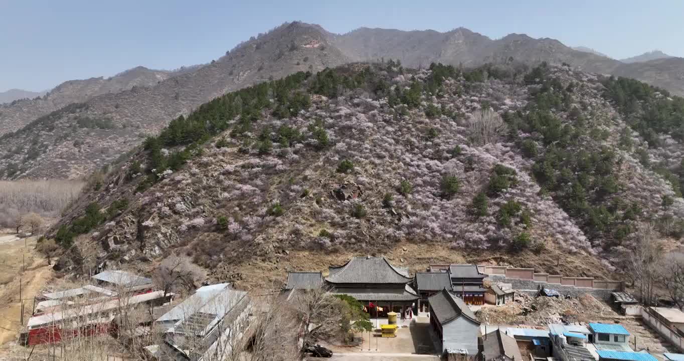 山西忻州：春风里的五台山视频下载