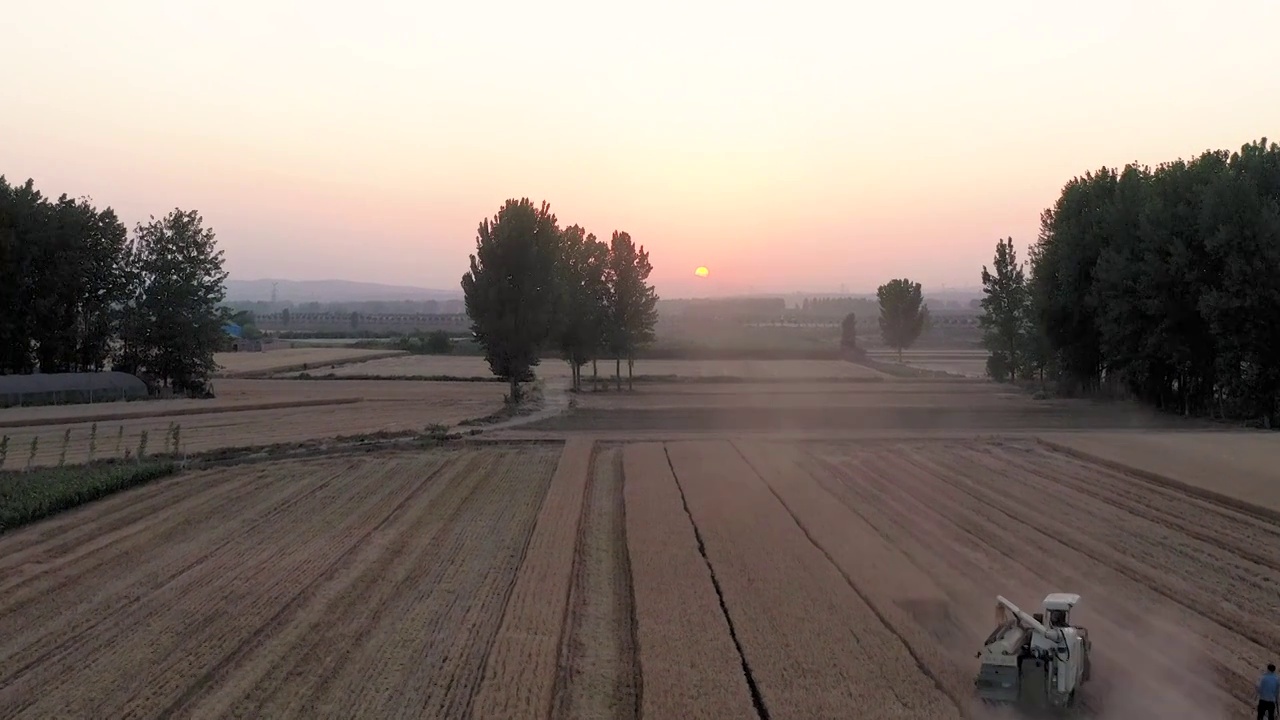 航拍小麦大丰收机械收割作业现场视频下载