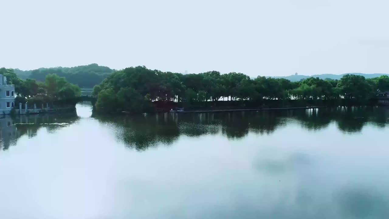 航拍杭州西湖曲院风荷荷花视频视频下载